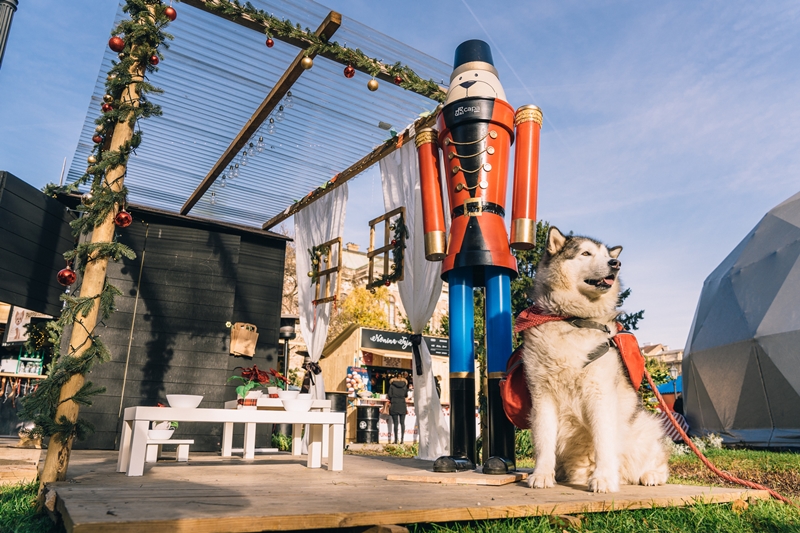 Trenutno pregledavate Capa Pet Bistro dočekuje četveronožne njuškice na Fuliranju